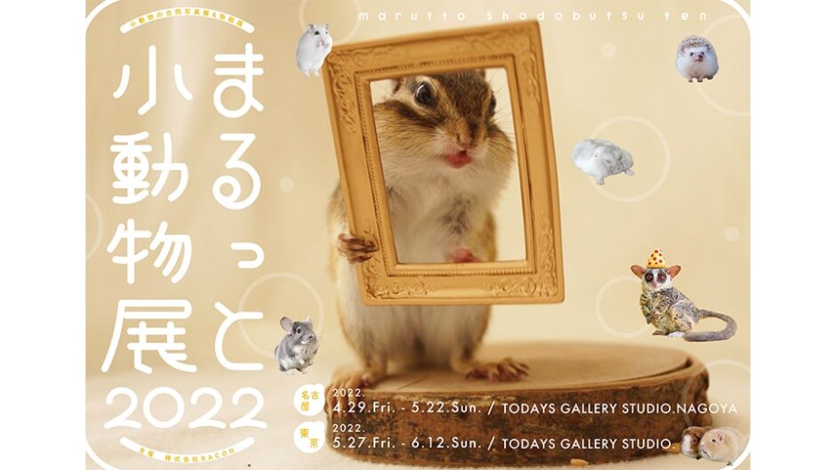 250点以上の作品を展示「まるっと小動物展 2022 in 名古屋」