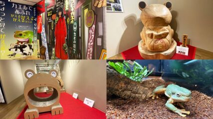 「カエル横丁」福岡パルコで開催!『かえるくぐり』疑似体験も!
