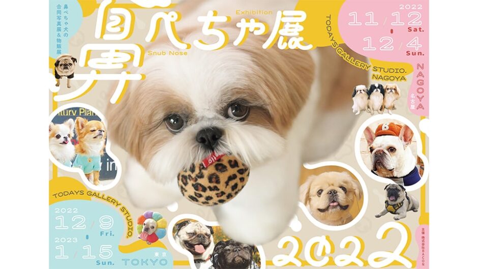 鼻ぺちゃ犬の合同写真展＆物販展「鼻ぺちゃ展 2022」開催