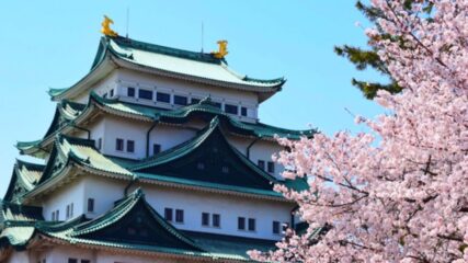 桜まつりも同時開催！「名古屋城春まつり」