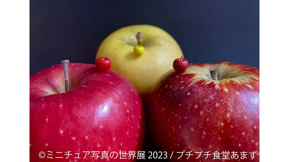 ミニチュア写真の世界展 2023 in 名古屋