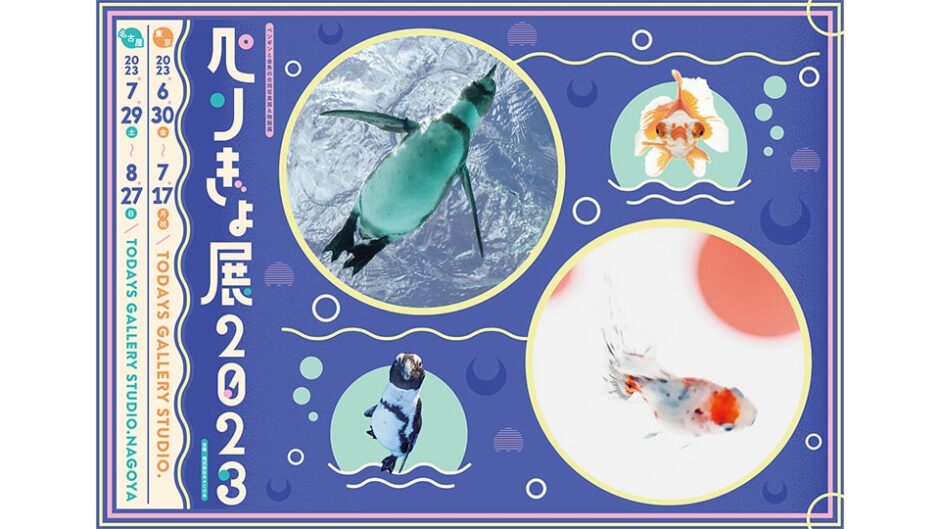 ペンギンと金魚の写真展＆物販展「ペンぎょ展 2023 in 名古屋」開催