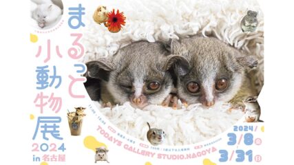 小動物の合同写真展＆物販展「まるっと小動物展 2024 in 名古屋」開催