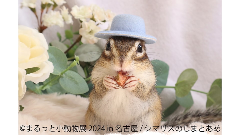 まるっと小動物展 2024 in 名古屋