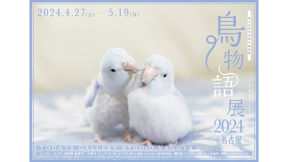 鳥の合同写真展＆物販展「鳥物語トリストーリー展 2024 in 名古屋」開催