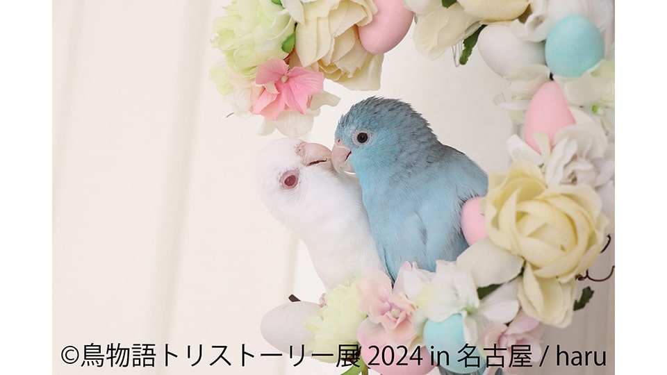 鳥物語トリストーリー展 2024 in 名古屋