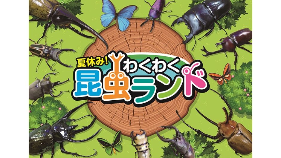 「夏休み！わくわく昆虫ランド」イオンモールNagoya Noritake Gardenで開催