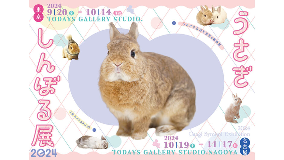 うさぎの合同写真展＆物販展「うさぎしんぼる展 2024 in 名古屋」開催