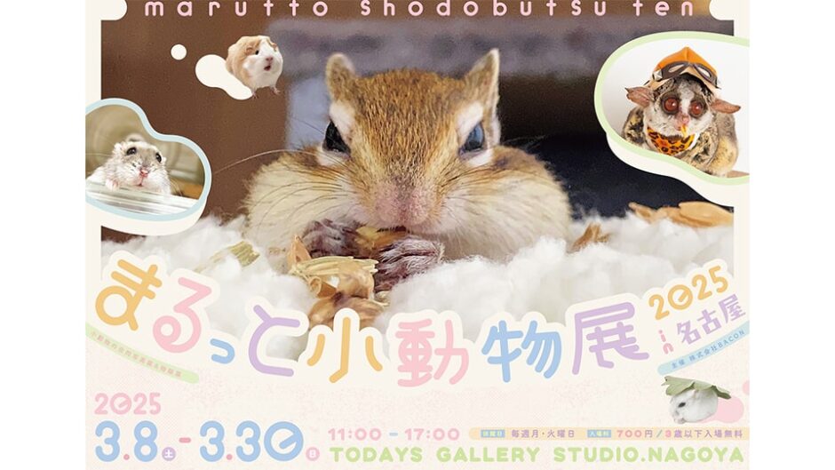 小動物の合同写真展＆物販展「まるっと小動物展 2025 in 名古屋」開催