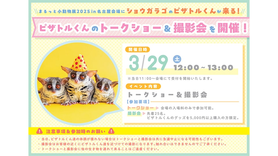 まるっと小動物展 2025 in 名古屋