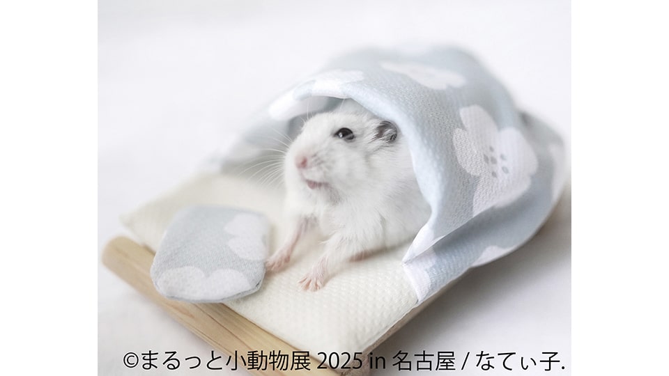 まるっと小動物展 2025 in 名古屋