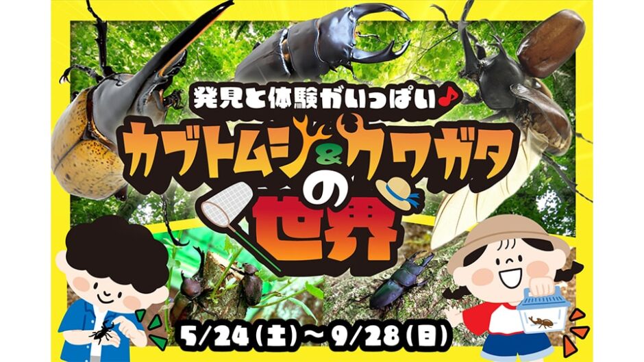 「発見と体験がいっぱい。カブトムシ&クワガタの世界」三島スカイウォークで開催