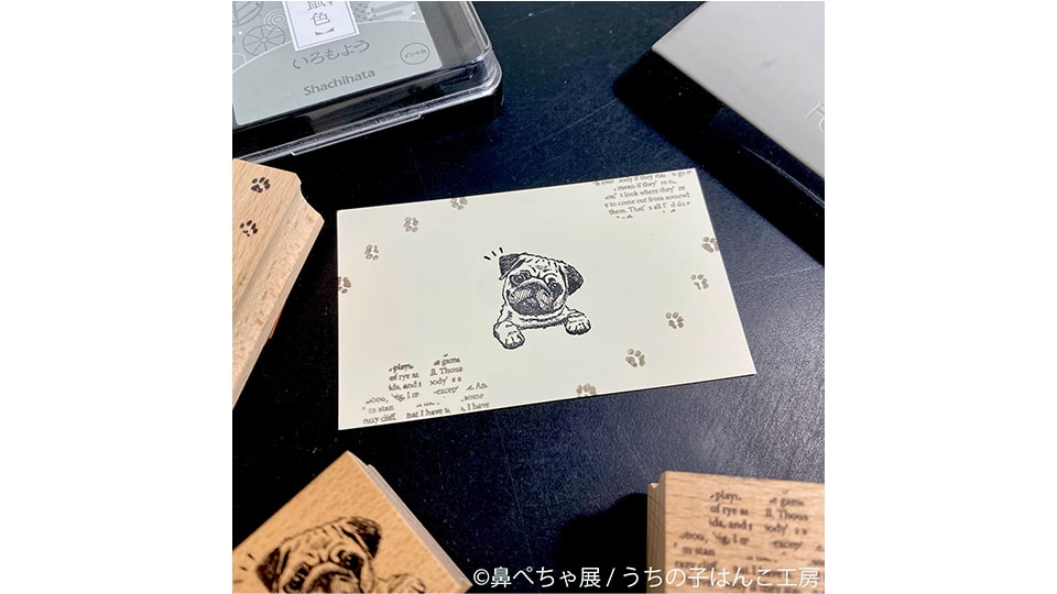 鼻ぺちゃ展 2025 in 名古屋