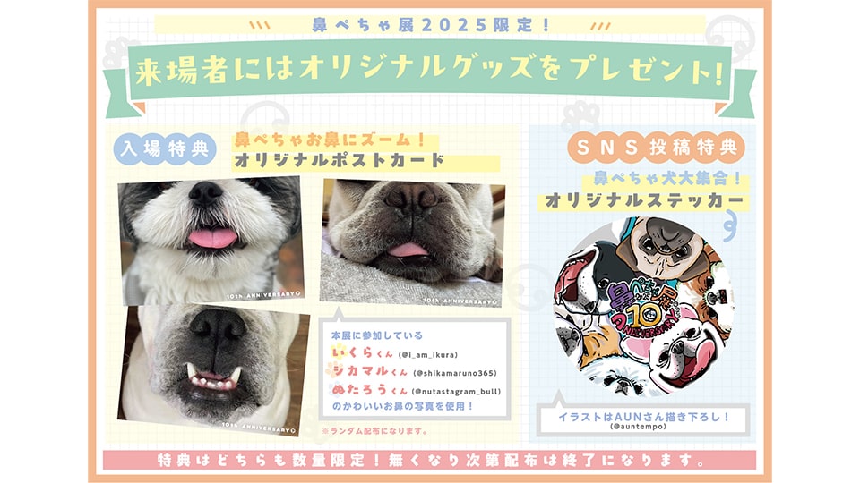 鼻ぺちゃ展 2025 in 名古屋