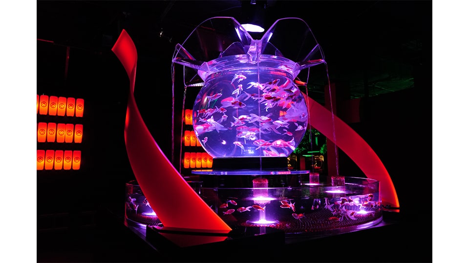 アートアクアリウム展 名古屋2025