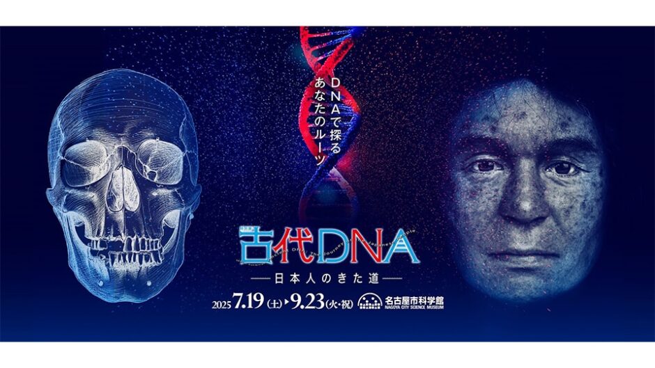 特別展「古代ＤＮＡ―日本人のきた道―」名古屋市科学館で開催