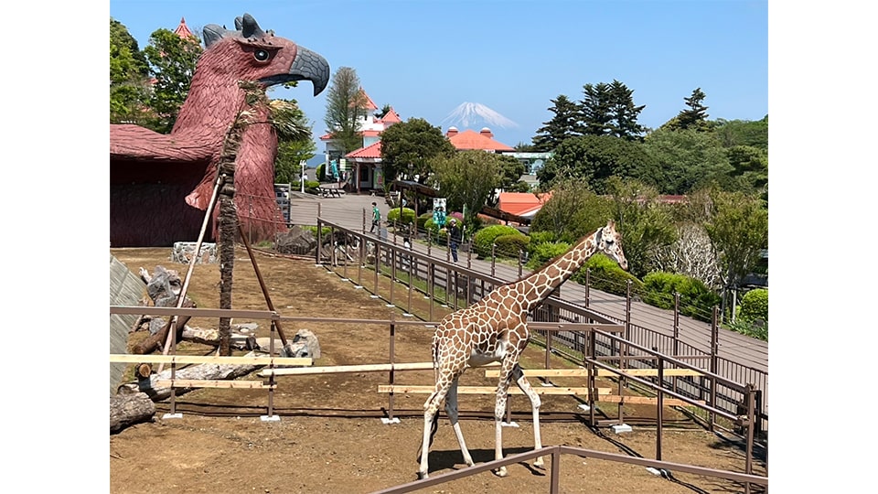 伊豆シャボテン動物公園グループ SUMMER 2025