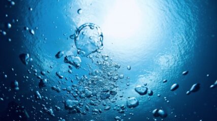 「大発見！ワクドキ深海アドベンチャー ～熊野灘から見る深世界～」鳥羽水族館で開催