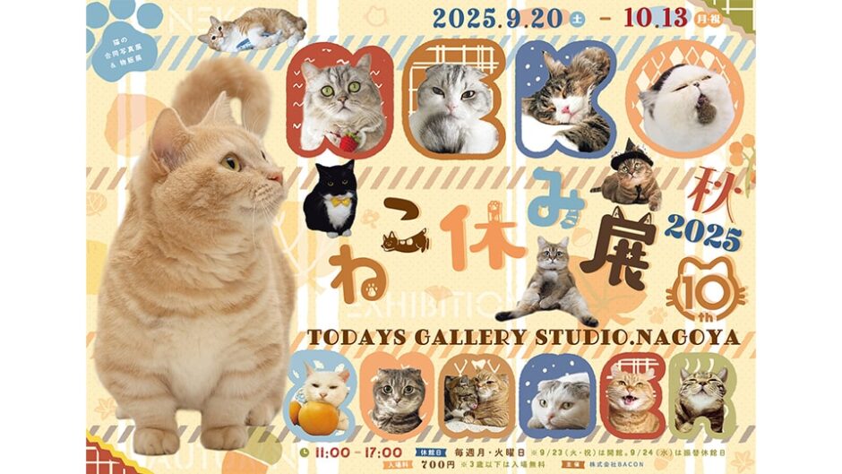 猫の合同写真展&物販展「ねこ休み展 秋 2025」開催