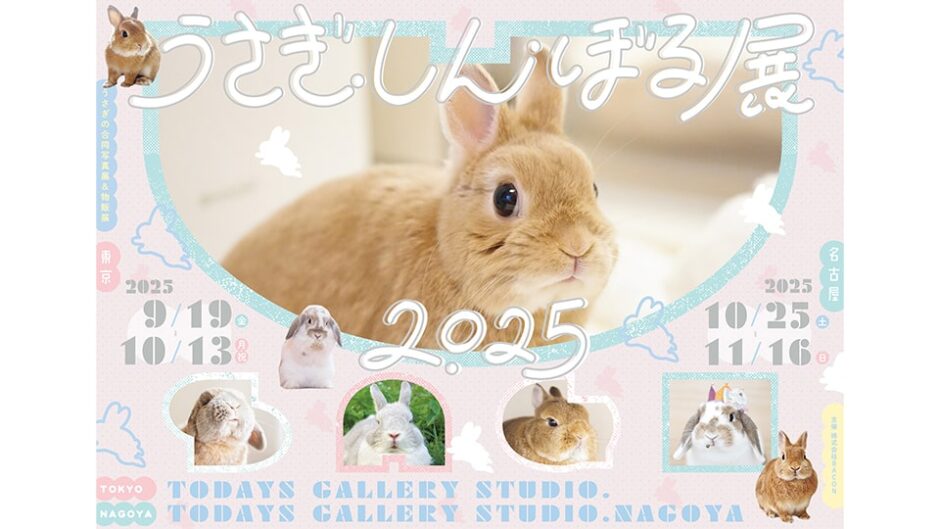 うさぎの合同写真展＆物販展「うさぎしんぼる展 2025 in 名古屋」開催