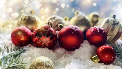 「ウィンターフェスティバル」安城産業文化公園デンパークで開催