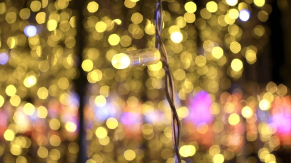 「駅とまちを光でつなぐ杜のイルミネーション」岐阜駅周辺で開催