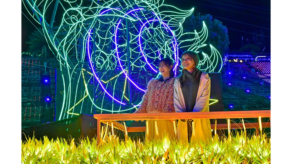 伊豆高原グランイルミ