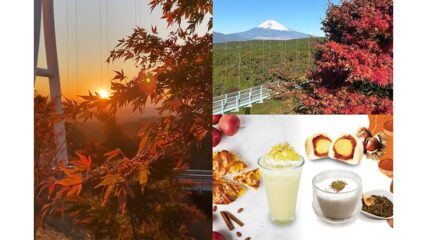 「空紅葉＆サンセットスカイウォーク」三島スカイウォークで見ごろ
