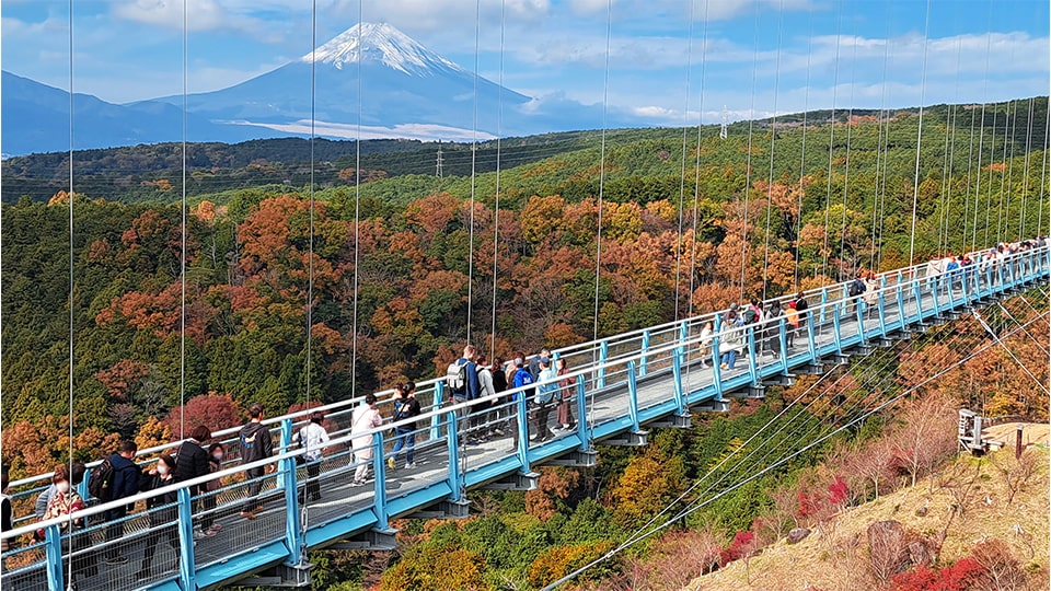 三島スカイウォーク