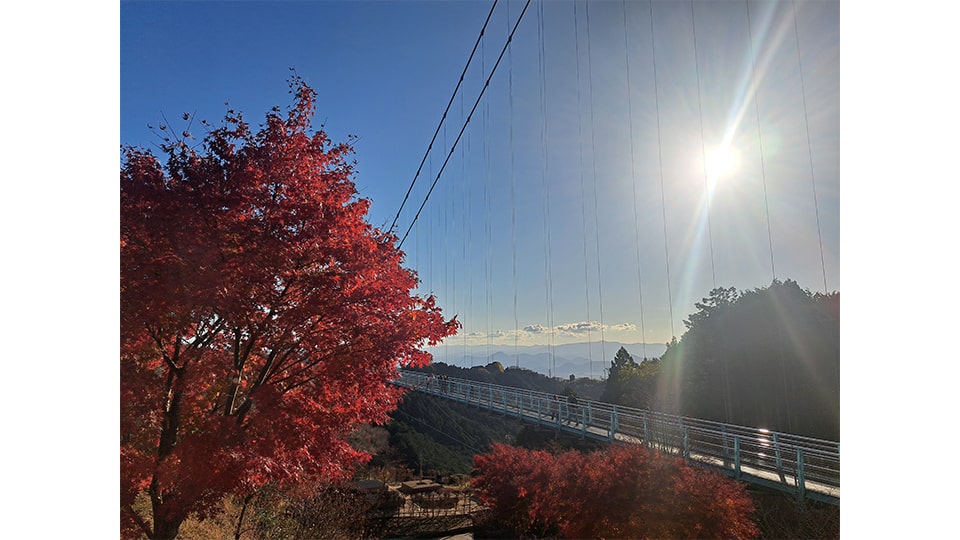三島スカイウォーク