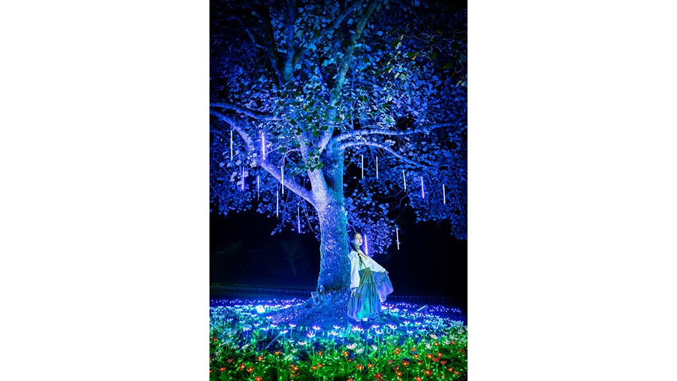 つま恋イルミネーション