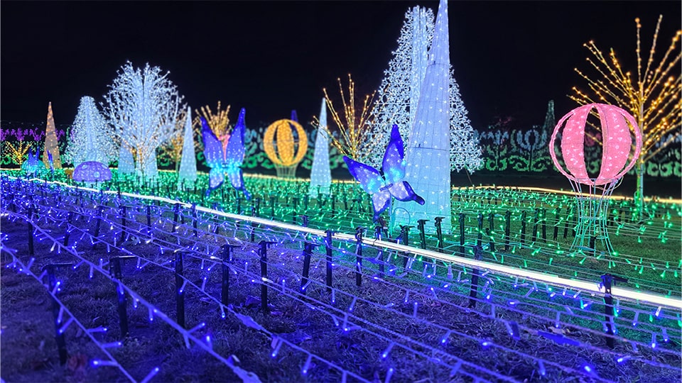 つま恋イルミネーション