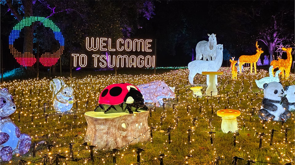 つま恋イルミネーション