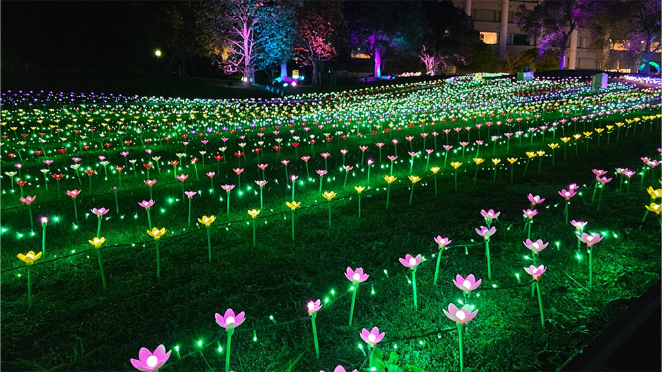 つま恋イルミネーション