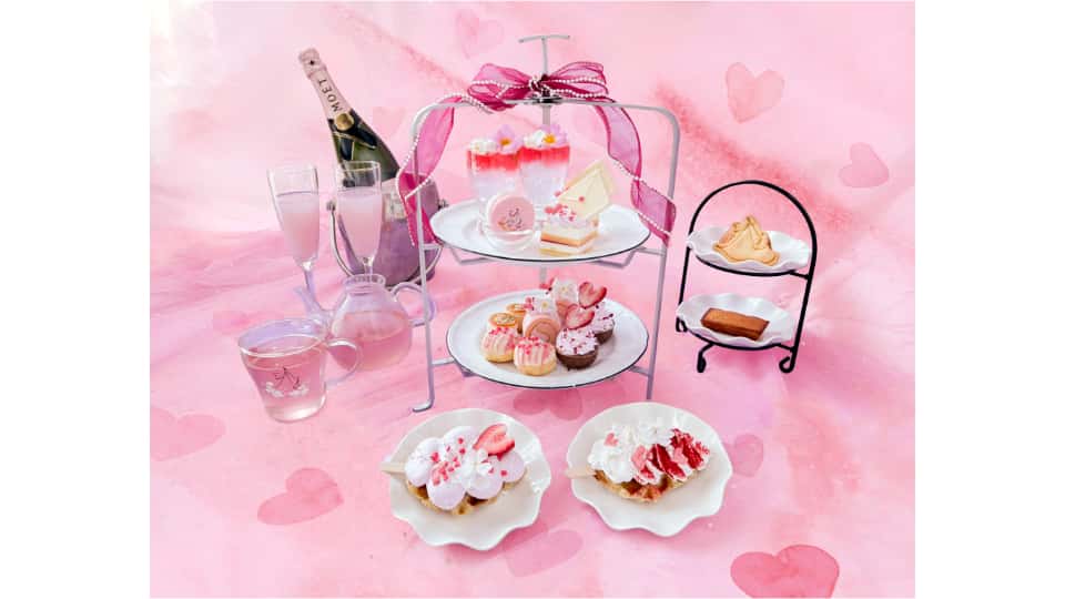 プリンセスドレスとバレンタインフェア