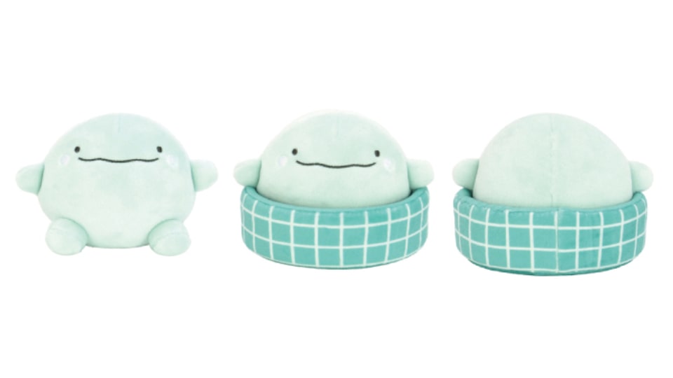 なんでもいきものとまるっと1日とろけ旅 in オーシャンスパ Fuua