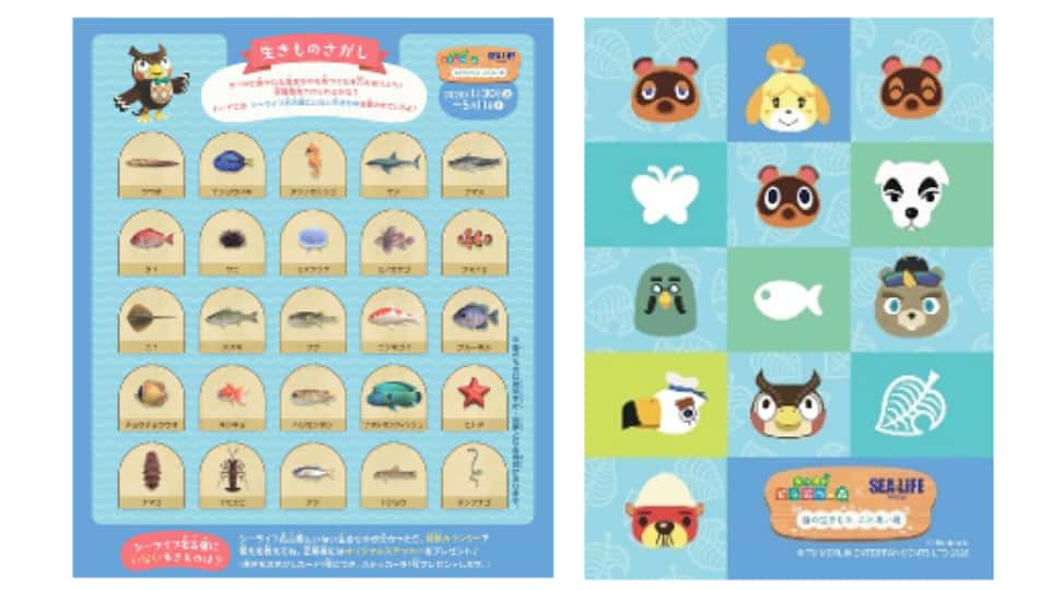 あつまれ どうぶつの森 × 名古屋シーライフ水族館