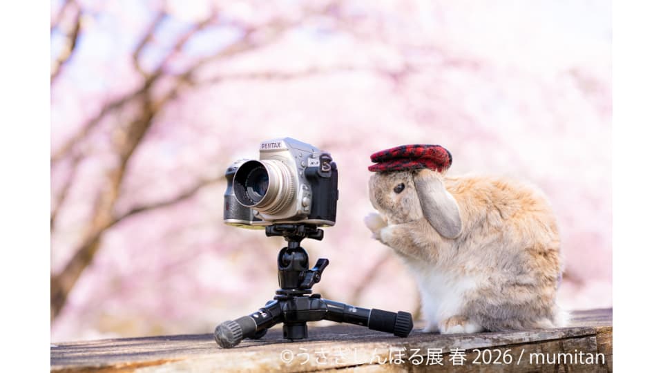 うさぎしんぼる展 春 2026