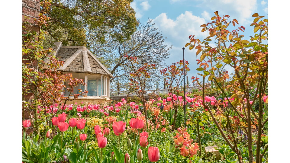 ACAO FOREST -Flower Easter-