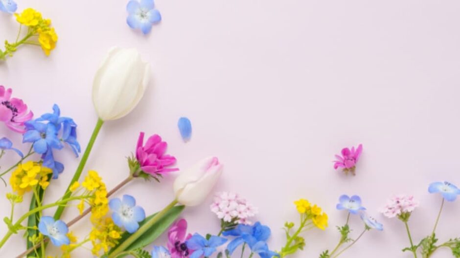 「フラワーフェスティバル」安城産業文化公園デンパークで開催