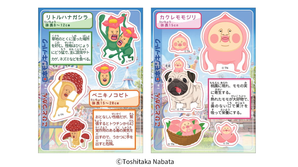 こびとづかん in 日本モンキーパーク