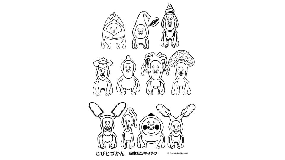 こびとづかん in 日本モンキーパーク