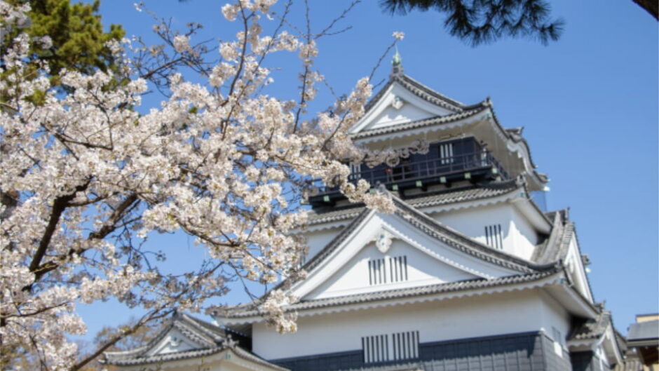岡崎城公園で「岡崎の桜まつり」開催