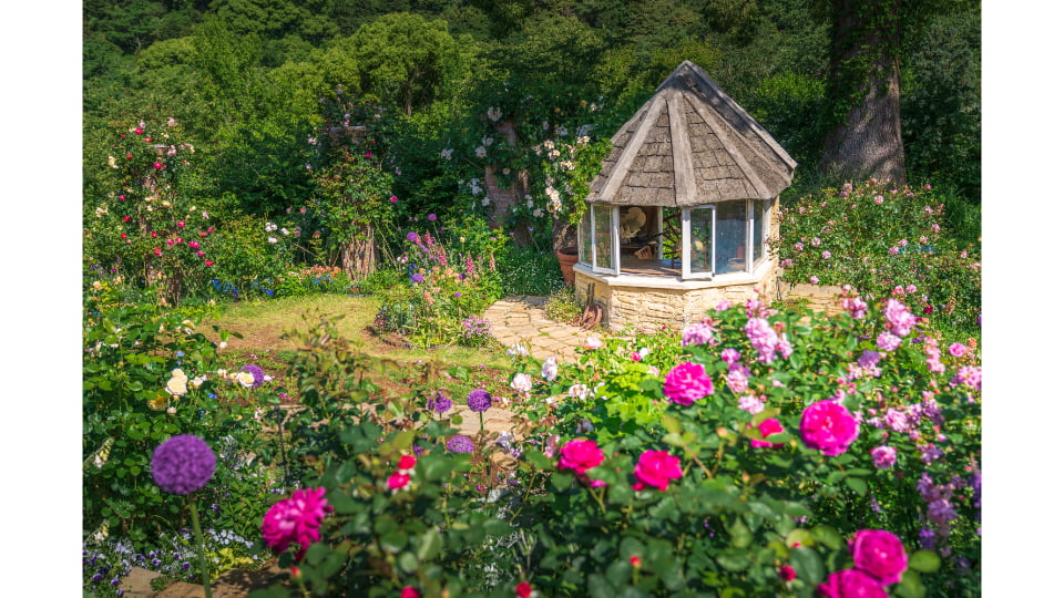 ACAO ROSE FESTA 2026