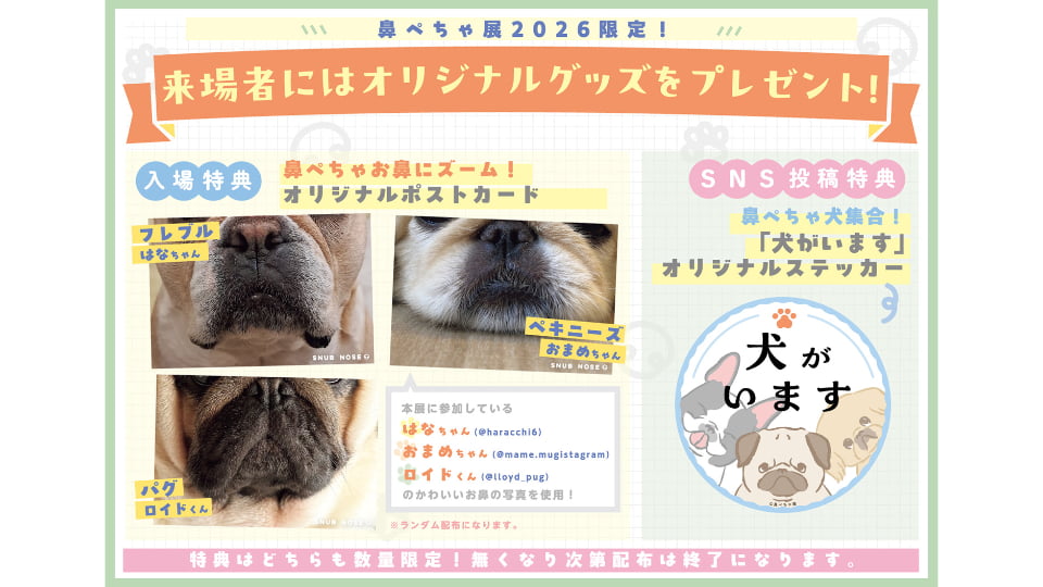 鼻ぺちゃ展 2026 in名古屋