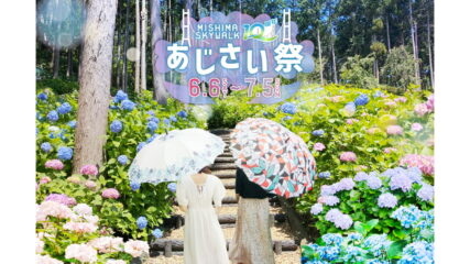 「あじさい祭」三島スカイウォークで開催