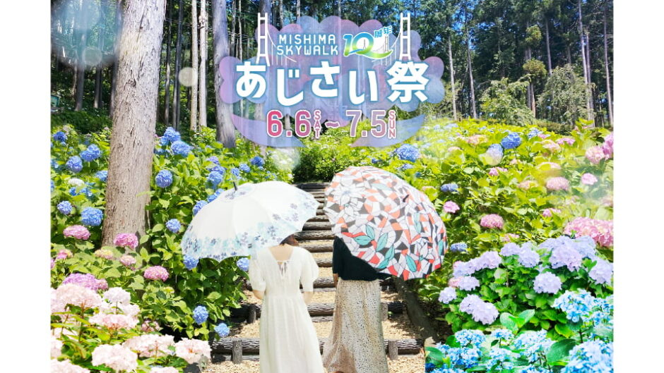 「あじさい祭」三島スカイウォークで開催
