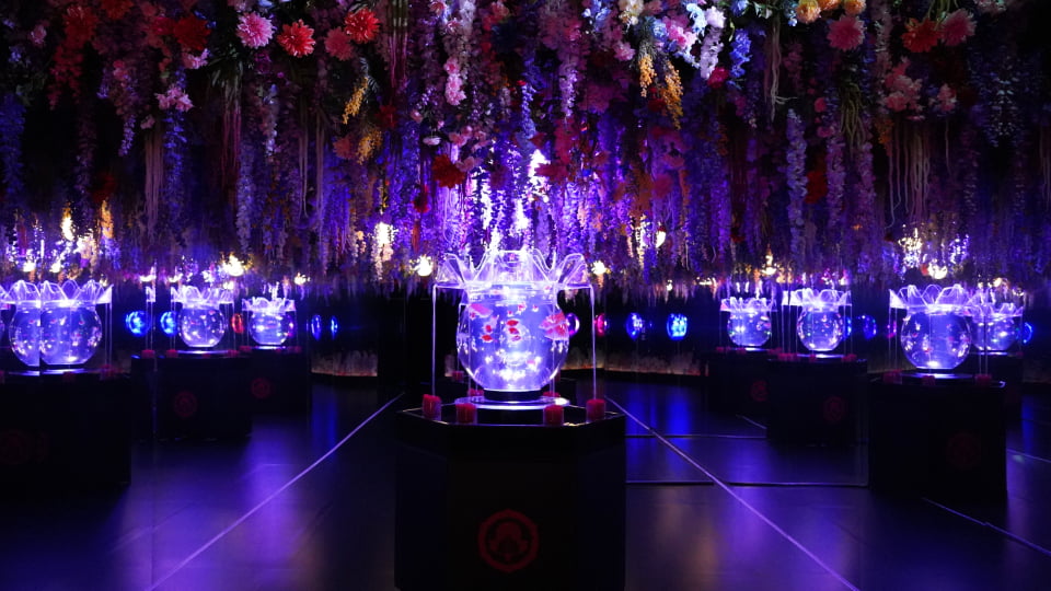 アートアクアリウム展 名古屋2026