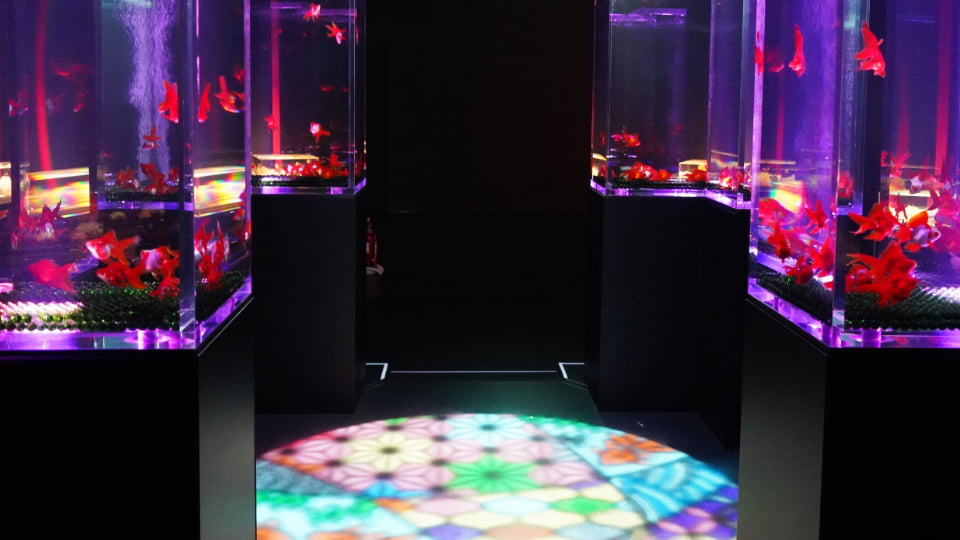 アートアクアリウム展 名古屋2026
