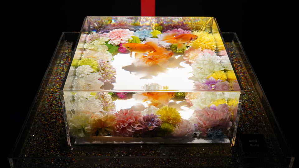 アートアクアリウム展 名古屋2026